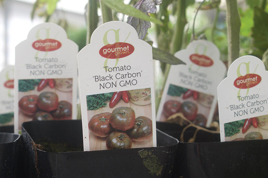 Camelot Gardens donates produce